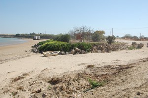 Los ecologistas de Chipiona denuncian la pérdida de una parte de playa Micaela .-