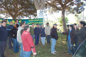 Ecologistas impiden la tala de pinos centenarios en la carretera de Chipiona-Rota