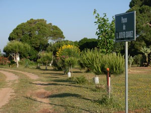 Rotulan en el Pinar de la Villa el paseo de D. Adolfo Suárez.-