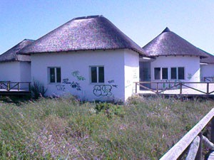 Actos vandálicos en el centro del camaleón de Chipiona