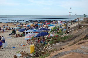 Playas de Micaela y Montijo de Chipiona  sin los mínimos servicios