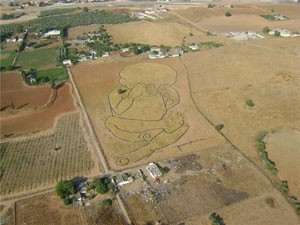 Paramotores Bajo Guadalquivir en Córdoba