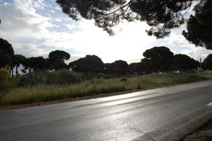 CANS  pide la  creación de un parque público en el camping municipal de Chipiona