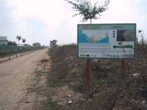 Trabajos de limpieza de arroyos y poda del arbolado en la vía verde (Chipiona)
