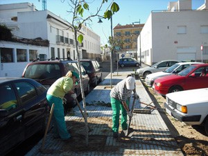 120 árboles  plantados en avenida de Sanlúcar y Rocío Jurado