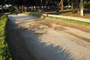 El PP denuncia el lamentable estado de la Carretera de Tres Piedras