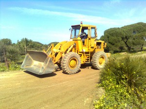 Medio Ambiente inicia los trabajos de desbroce en el pinar(Chipiona)