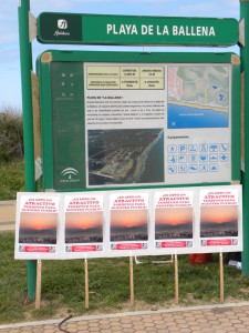 La Plataforma contra los molinos anima a la disolución de la sociedad «Energía Las Cruces del Mar» ante elrechazo de la ciudadanía