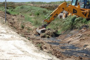 “Destrozo ecológico en Chipiona”