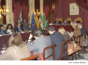 El pleno de Diputación aprueba el concurso para la concesión del servicio de ayuda a domicilio(Cádiz)