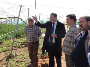 El alcalde y el delegado de Agricultura visitan los invernaderos afectados por el temporal