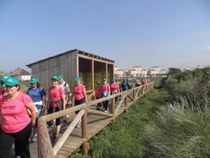 Una ruta de senderismo puso fin  a la I semana de la salud y la actividad física