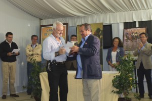 La obra titulada Competencia primer Premio Certamen fotográfico Carreras de caballos de Sanlúcar de Barrameda‏