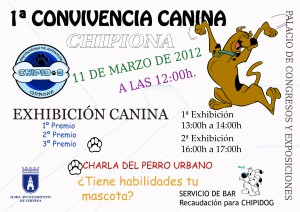 Chipiona acoge este domingo una convivencia canina promovida por la protectora de animales Chipidog