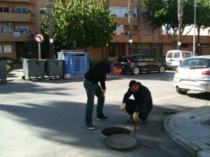 Sanidad hará actuaciones específicas de control de plagas en Diamantino García y Camacho Baños