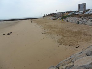 Playas intensifica las tareas de limpieza en Playa Micaela