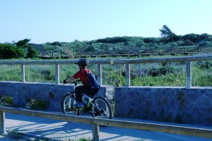 El Ayuntamiento atiende la petición de CANS y Capitán Pedales para que se limpien los carriles bici locales