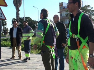 Comienza el plan de poda municipal que da empleo a 33 desempleados antes de navidad