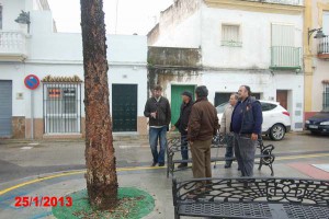 PSOE HACE LEÑA DEL ARBOL CAÍDO