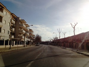 Un nuevo plan de empleo para veintinueve personas completa desde hoy la poda del arbolado urbano