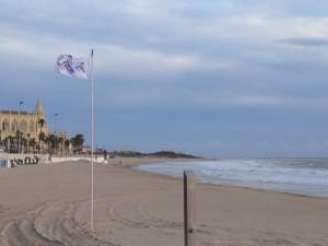 Playas retira las banderas tras comprobar que no hay  presencia de medusas