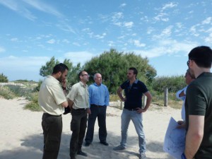 Junta y Ayuntamiento estudian la plantación en el acceso a Las tres piedras de las palmeras retiradas del Paseo Costa de la Luz