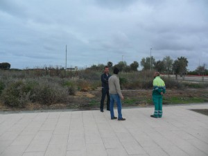 La zona chipionera de La Ballena contará este verano por primera vez con aseos públicos