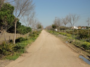 El delegado de Medio Ambiente de Chipiona hace un llamamiento al respeto del trazado de la Vía Verde