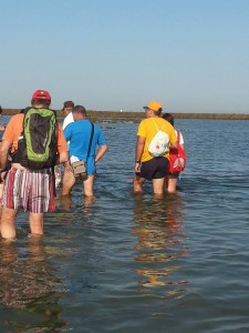 Las visitas a los corrales de pesca se convierten en uno de los principales atractivos turísticos para los visitantes