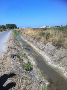 Agricultura prepara arroyos y cunetas para la llegada de la temporada de lluvias