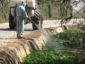 Agricultura comienza la campaña de limpieza de arroyos y cunetas