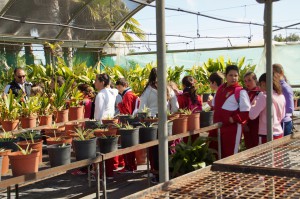 Los alumnos del Cristo de las Misericordias conocen en una visita el funcionamiento del Vivero Municipal