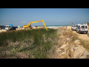 Concluye la limpieza del cauce del tramo del canal de Chapitel más próximo a la costa