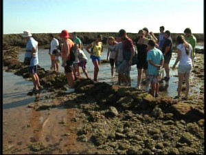 Turismo y JARIFE ofrecen visitas guiadas a los corrales de pesca durante el verano