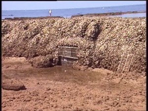 Medio Ambiente y Ordenación del Territorio prorroga cinco años la ocupación de los terrenos de los corrales de pesca