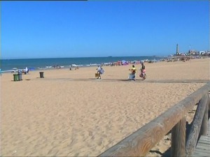 Los profesionales de playas y medioambiente instan a los ayuntamientos a limitar la presencia de animales en playas