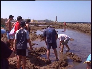 337 personas han participado en el programa de visitas a los corrales organizadas por Jarife y Turismo