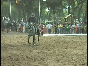 Ultimada la coordinación para la Fiesta de la Palmicha el próximo domingo 28 de septiembre