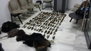 La Guardia Civil detiene a tres vecinos de Chipiona por el montaje de redes y captura ilegal de aves.