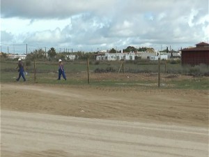 Medio Ambiente lamenta no haber recibido comunicación oficial de la Delegación Territorial sobre los trabajos que está realizando en Chipiona.