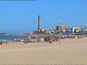 Los profesionales de playas y medioambiente recuerdan que se debe limitar la presencia de animales