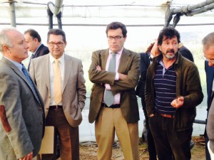 El Secretario General de Agricultura afirma que la rebaja del IVA debe ayudar a que la flor cortada recupere su lugar en el mercado internacional