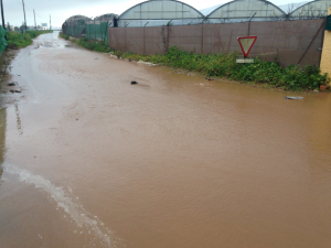 IZQUIERDA UNIDA  EXIGE UNA RAPIDA ATENCIÓN DESDE EL AYUNTAMIENTO A LOS AFECTADOS POR LAS INUNDACIONES