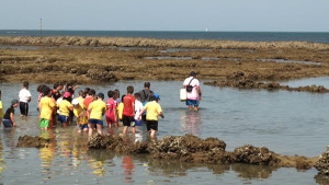 Educación y Jarife acercan a los escolares los corrales y su arte de pesca milenario en su anual programa de visitas