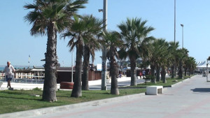 La red de riego de los jardines del Paseo de La Cruz del Mar será renovada en su totalidad