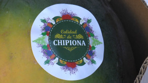 Chipiona estará presente en el quinto Congreso Gastronómico “Andalucía Sabor” con Acitur y el proyecto Balneario Natural