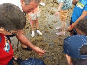 289 personas han participado en el programa de visitas a los corrales de pesquería organizadas por Jarife y Turismo