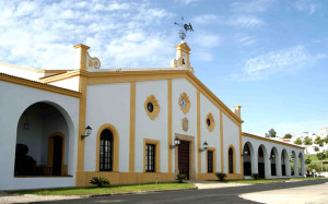 Valdespino elegida una de las 100 mejores bodegas del mundo.