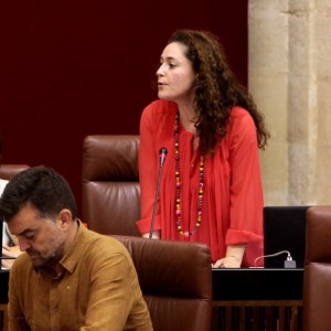 Nieto: “La Junta de Andalucía ha consumado hoy su política de privatización de la sanidad andaluza con la consolidación y aumento de los conciertos en la provincia de Cádiz”