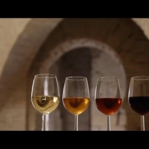 La Ruta del Vino y Brandy del Marco de Jerez supera la auditoría de certificación